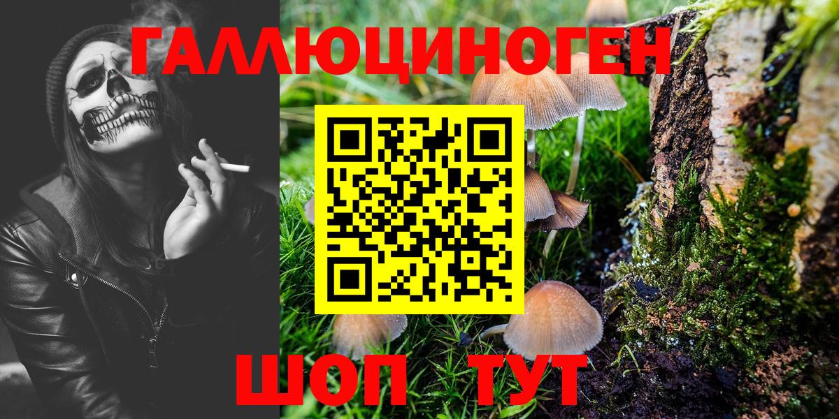Красный Сулин  Псилоцибиновые грибы Magic Shrooms  Вход с VPN 